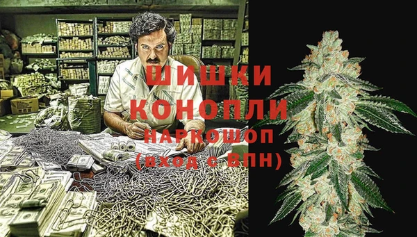 шишки Верхний Тагил