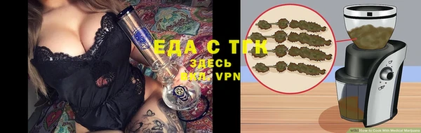шишки Верхний Тагил