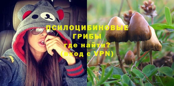 2c-b Верея