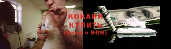 шишки Верхний Тагил