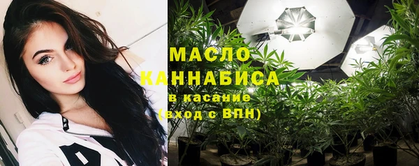 шишки Верхний Тагил