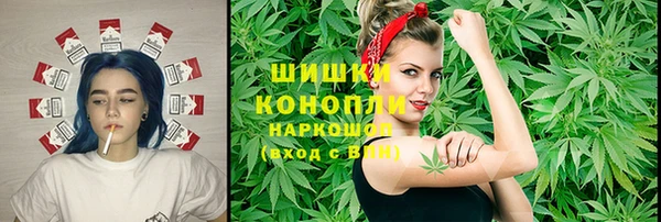 шишки Верхний Тагил